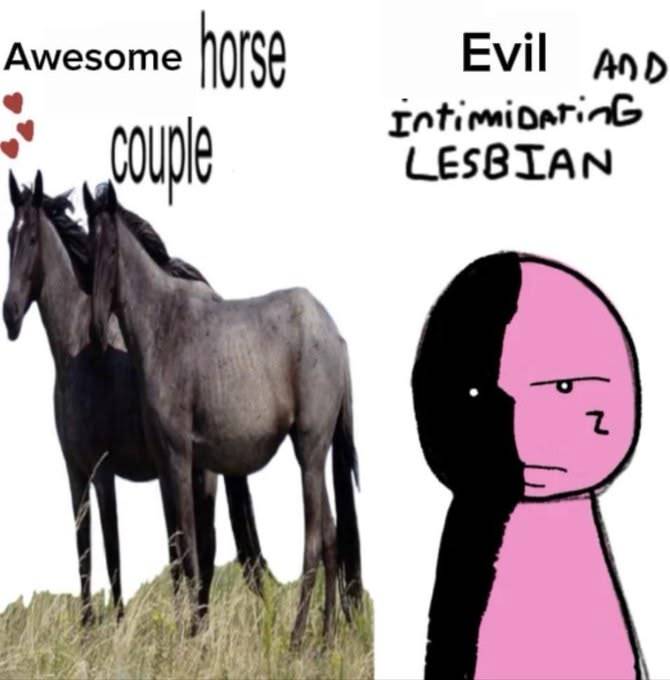 horshkjfbgkjrnge.jpg