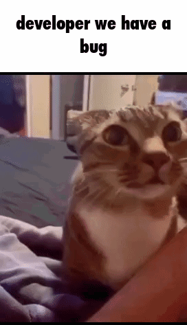 developer-we-have-a-bug.gif